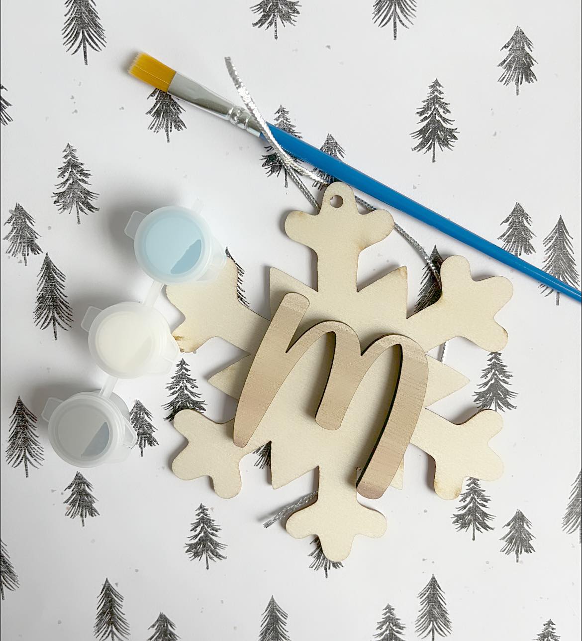 Snowflake Initial Paint Kit