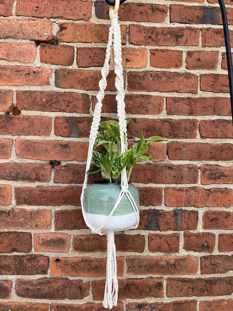 Plant Hanger "Velvet"