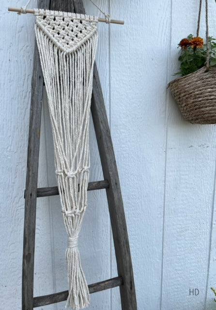 Macrame Wall Plant Hanger