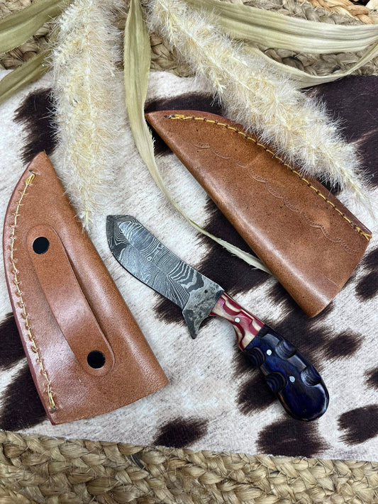 Small Knife Red & Blue Block Handle